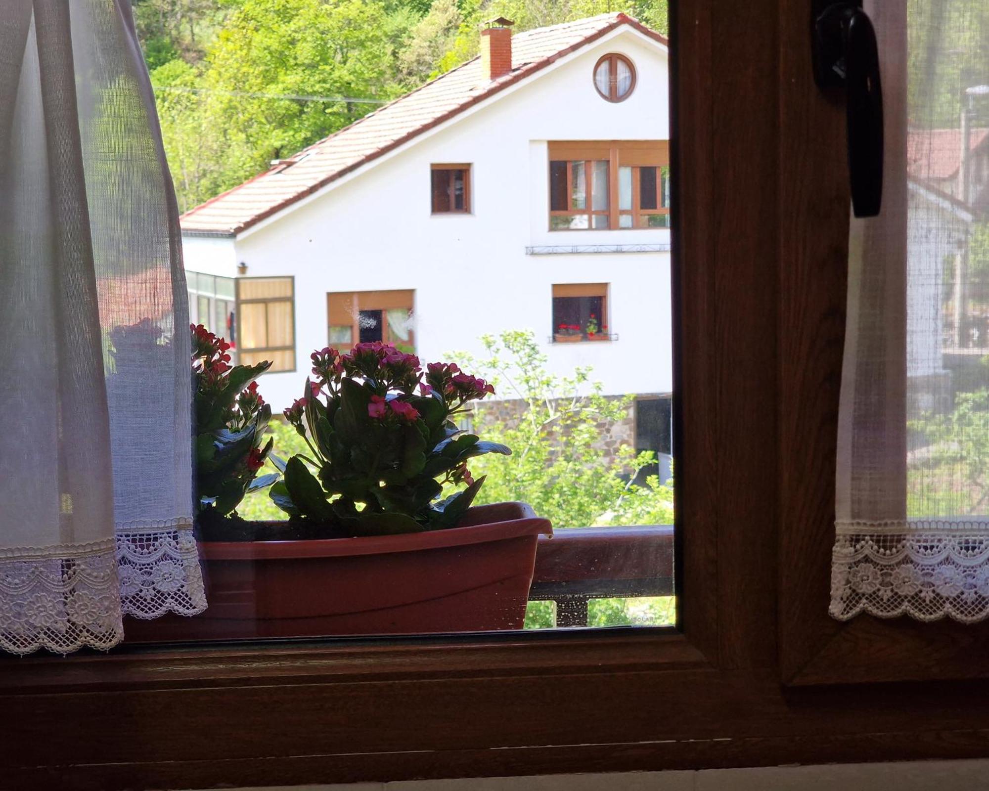 Apartamentos Remona Espinama Luaran gambar